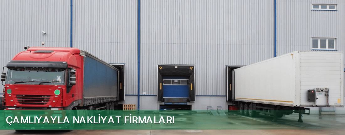 Çamlıyayla Nakliyat Taşımacılık
